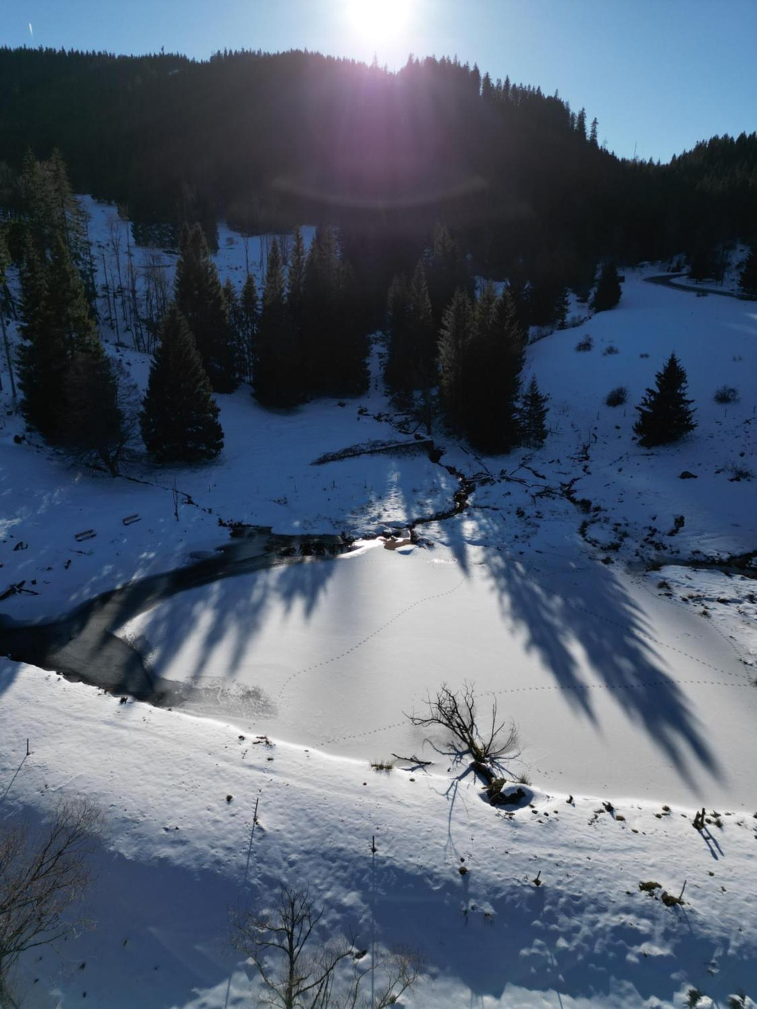 Sporthostel Rössle Schluchsee Exteriör bild